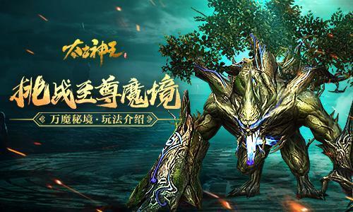 百亩蔬菜喜丰收 助力村集体经济发展
